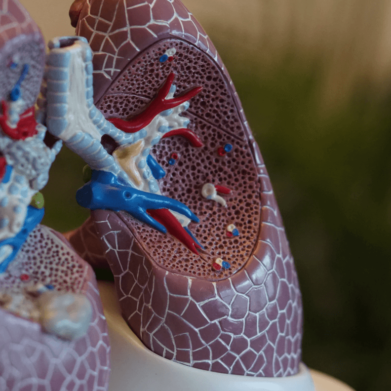HRV 
